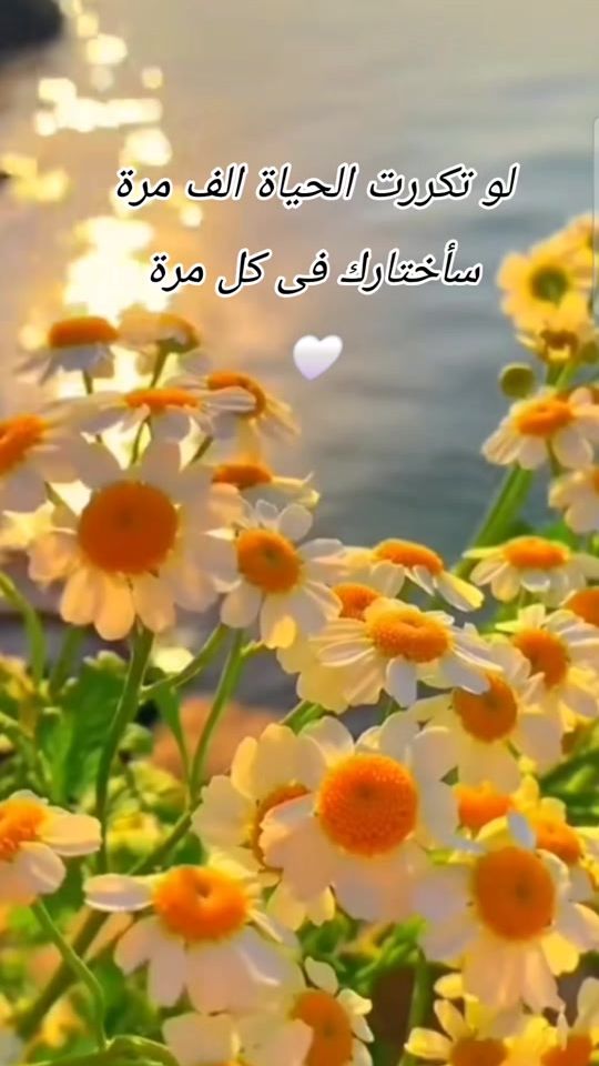 TikTok video thumbnail by rabah21sky