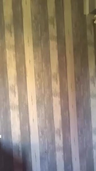 TikTok video thumbnail by thefinalboss905