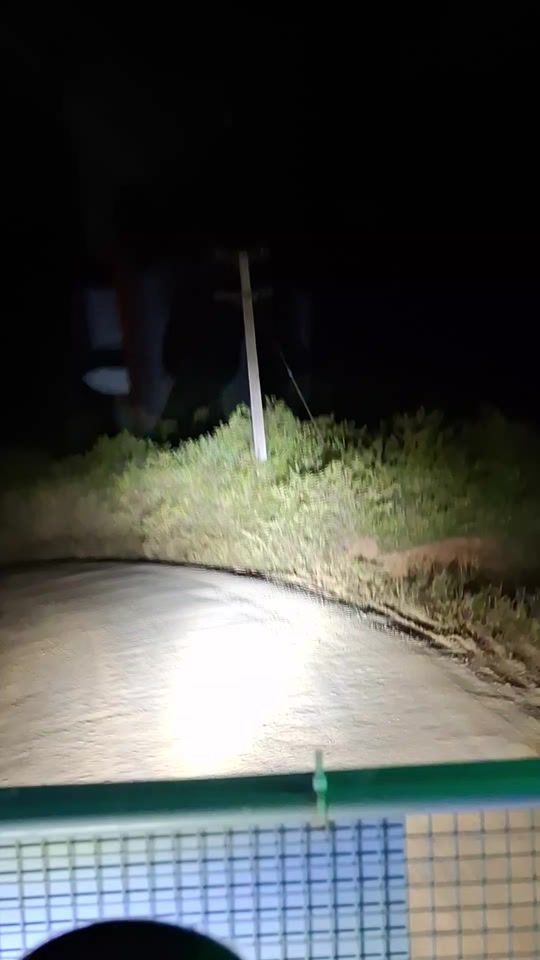 TikTok video thumbnail by lone_trucker02