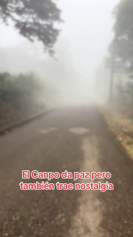 TikTok video thumbnail by elsencey
