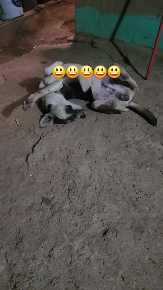 TikTok video thumbnail by juniorulloa535