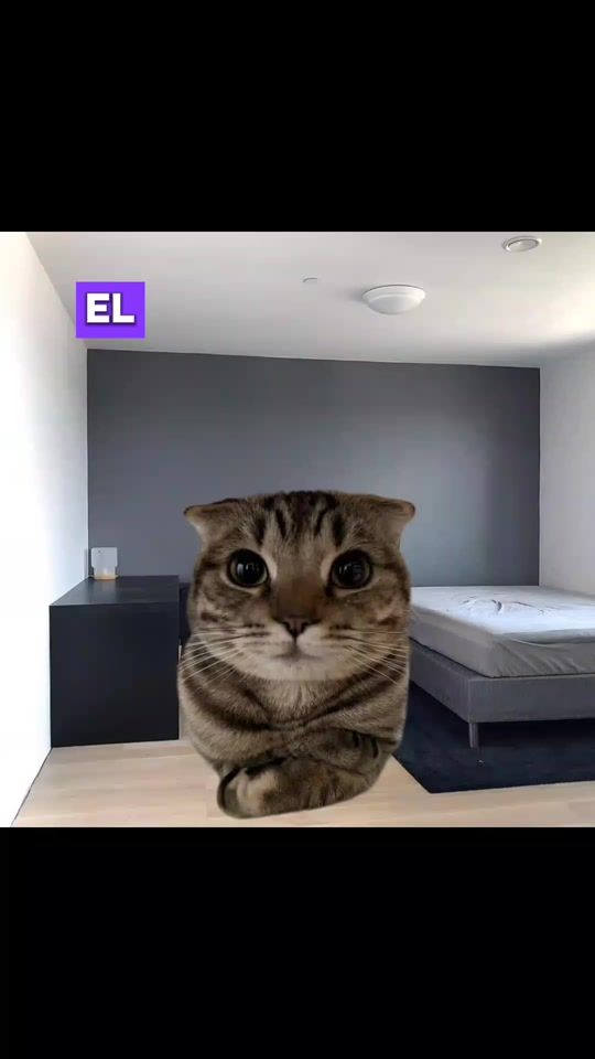 TikTok video thumbnail by splashwath
