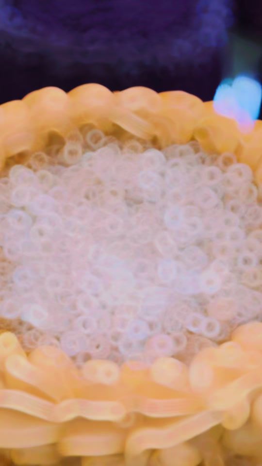 TikTok video thumbnail by thebakingloftnz