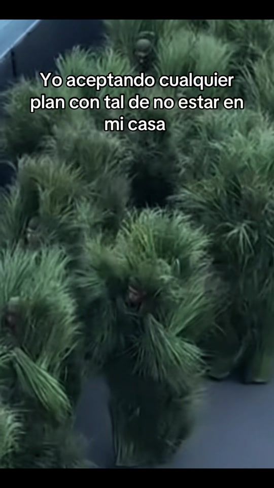 TikTok video thumbnail by moratboysv