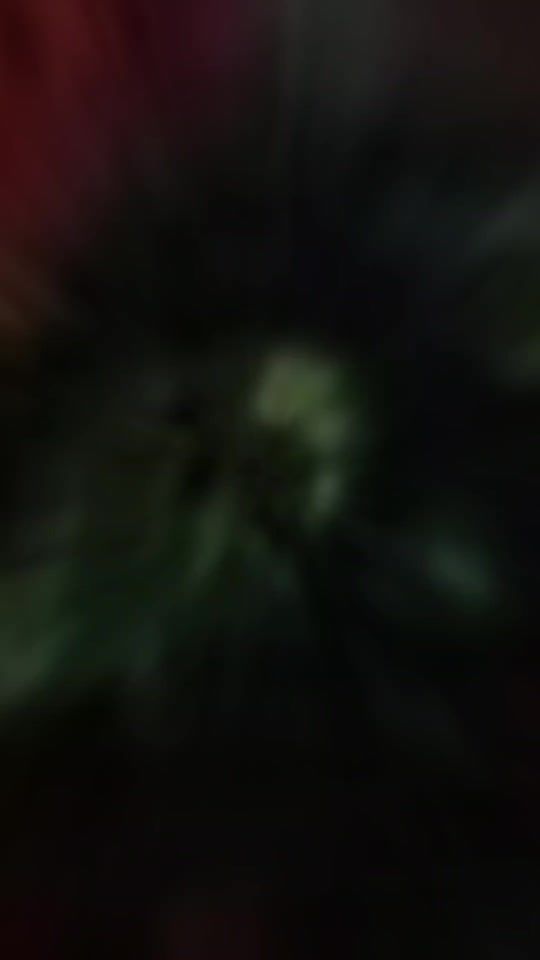 TikTok video thumbnail by sanatandharm6