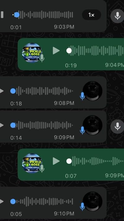 TikTok video thumbnail by pickleboss_og_