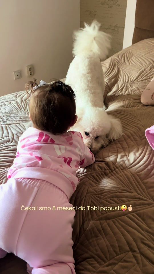 TikTok video thumbnail by doki.99