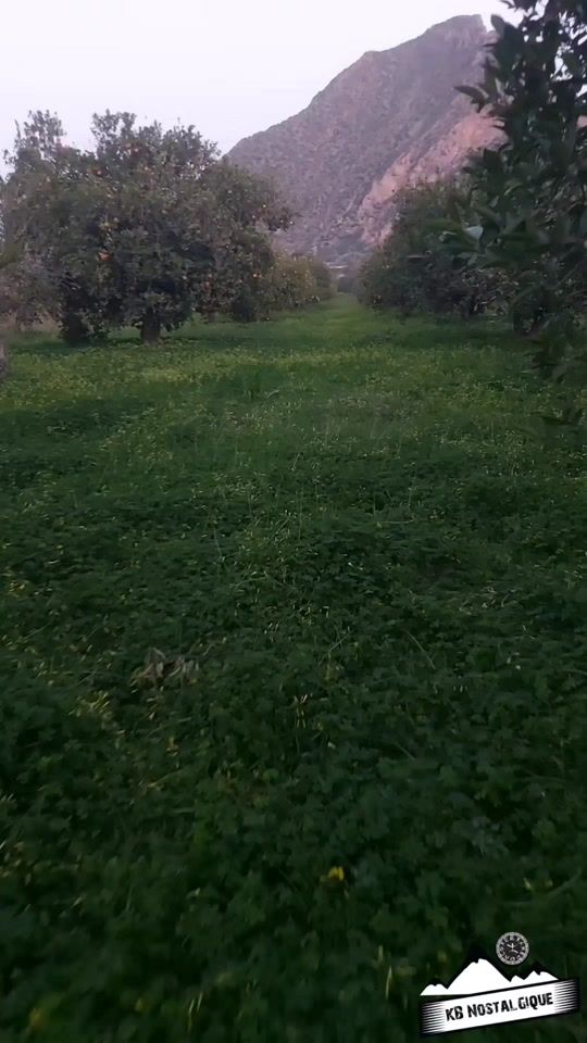 TikTok video thumbnail by kb.nostalgique