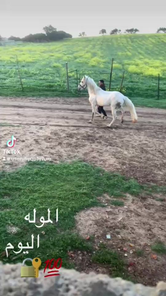 TikTok video thumbnail by user2803633968001