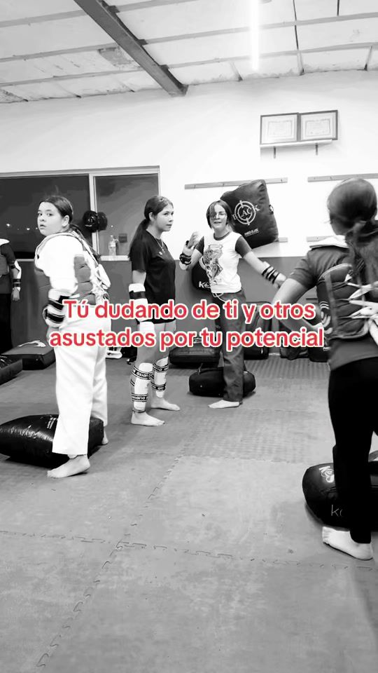 TikTok video thumbnail by fenixtaekwondo