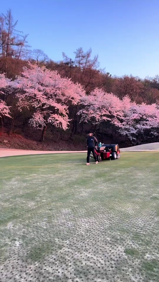 TikTok video thumbnail by golf_112244