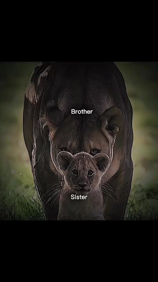 TikTok video thumbnail by ellia867