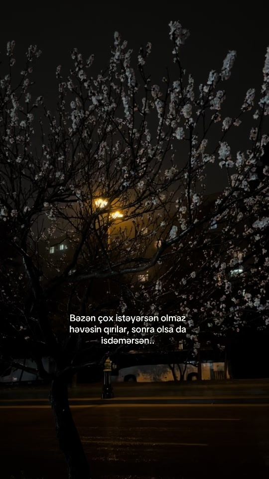 TikTok video thumbnail by nifretle__