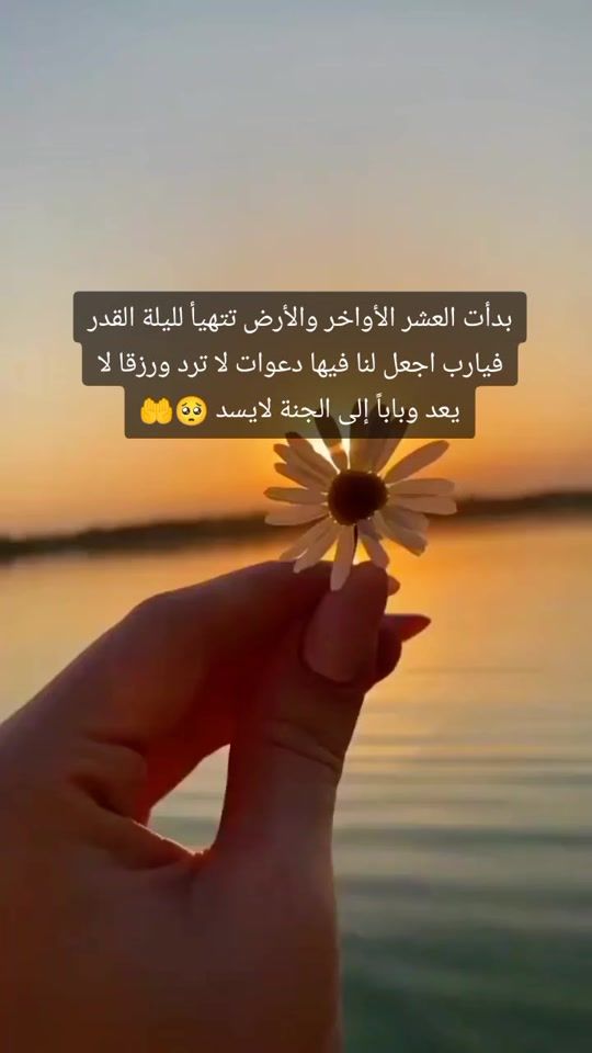 TikTok video thumbnail by maha666abdo