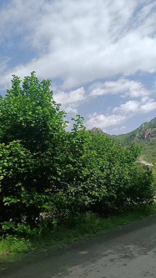 TikTok video thumbnail by mobil_berde