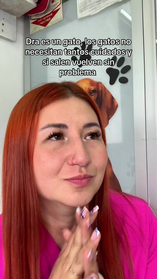 TikTok video thumbnail by laveteysustips