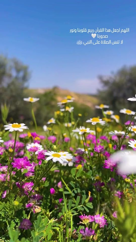 TikTok video thumbnail by manarrashaidh1