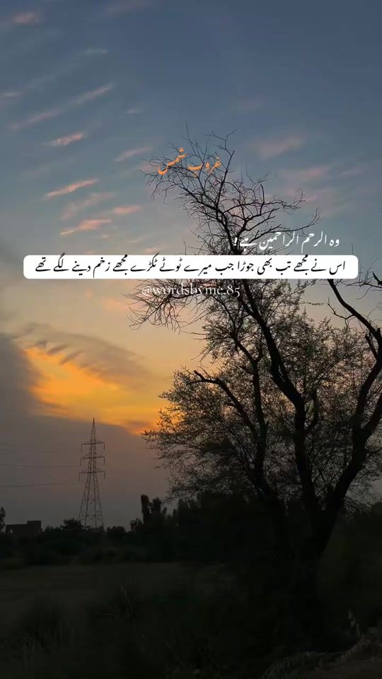 TikTok video thumbnail by wordsbyme.85