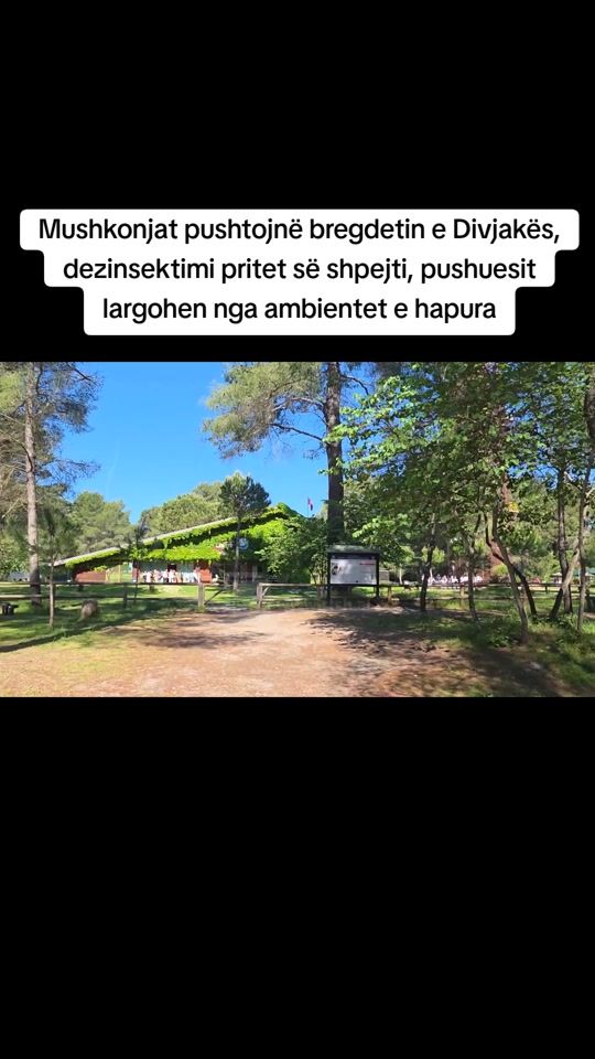 TikTok video thumbnail by rtshqiptar