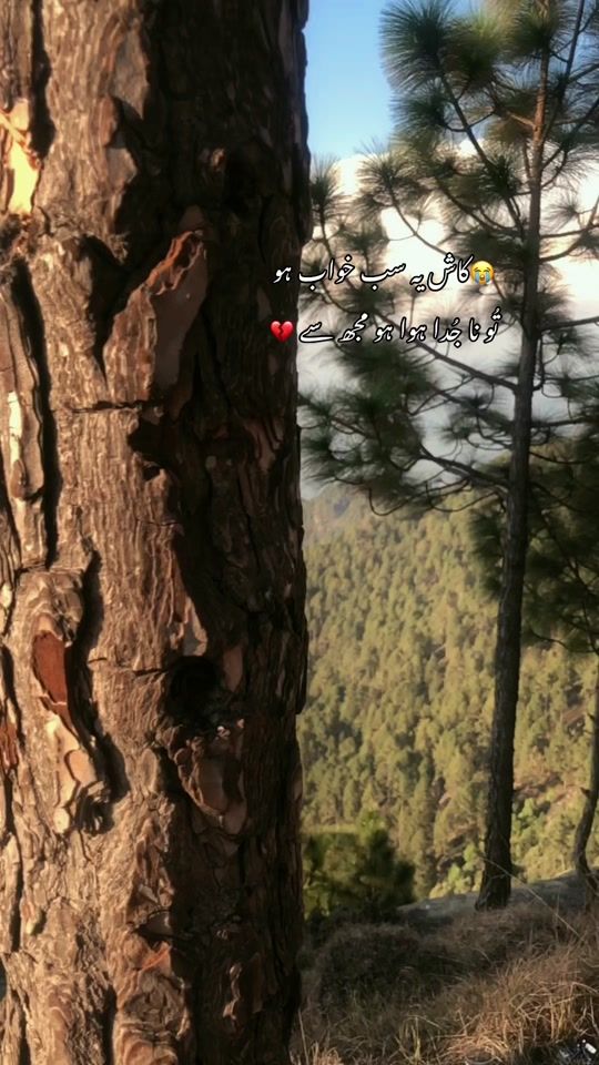 TikTok video thumbnail by haqueencreations