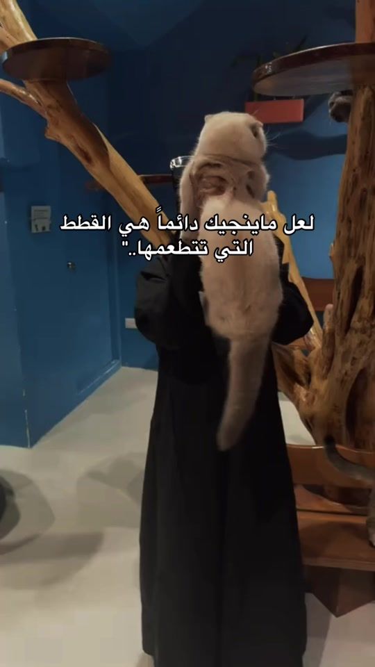 TikTok video thumbnail by ix..aw