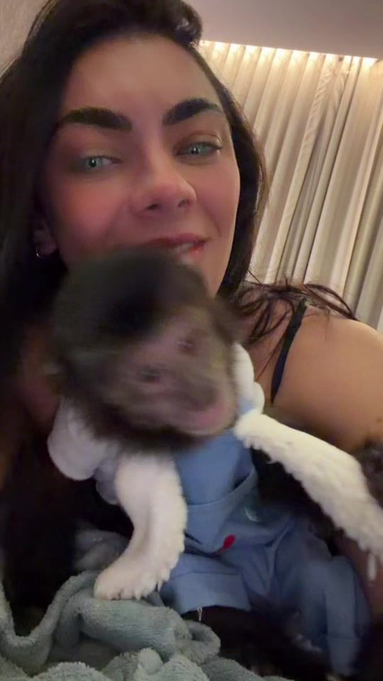 TikTok video thumbnail by macacotbag