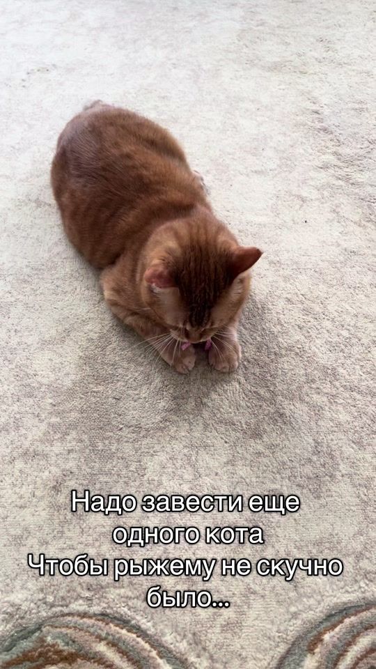 TikTok video thumbnail by _ola78_