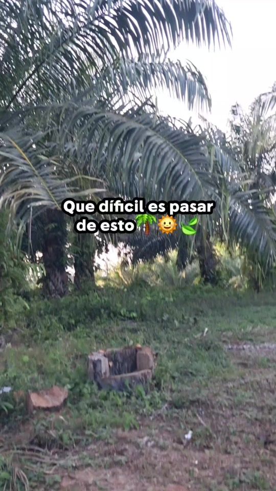 TikTok video thumbnail by liosan51