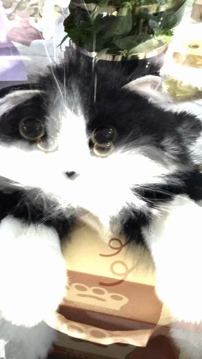 TikTok video thumbnail by zuradiamond