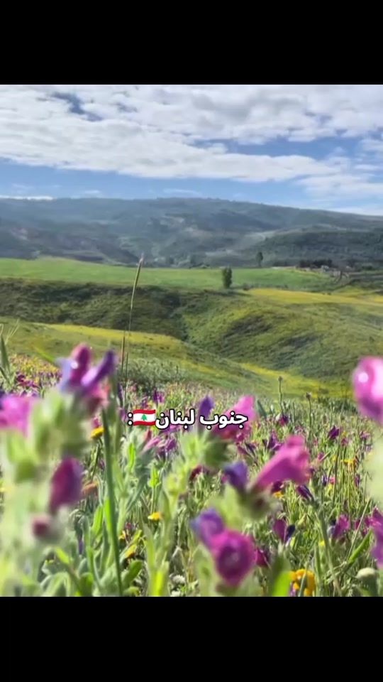 TikTok video thumbnail by batou_l56