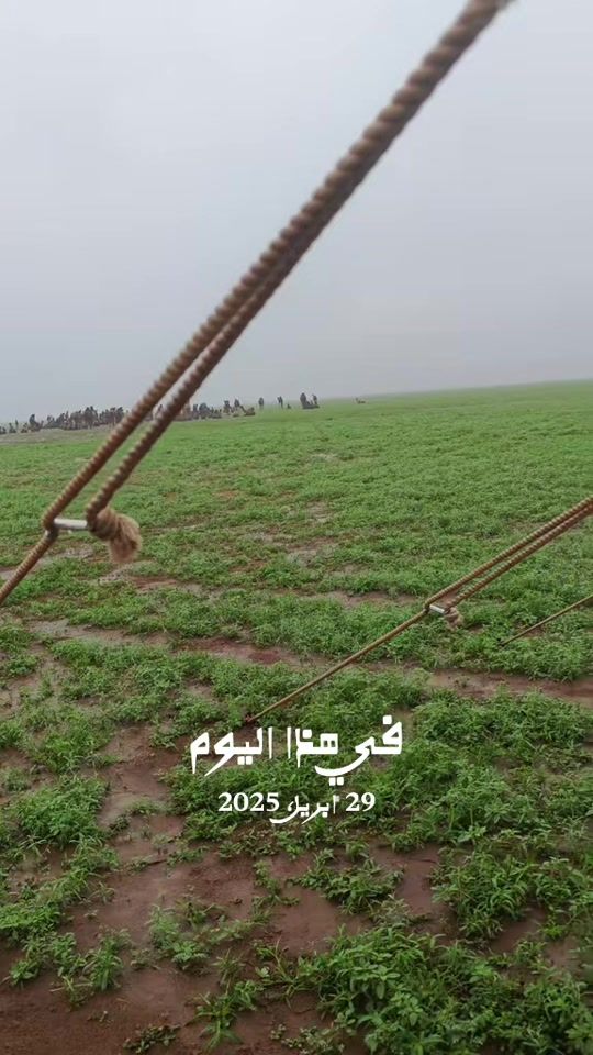 TikTok video thumbnail by b_jld1