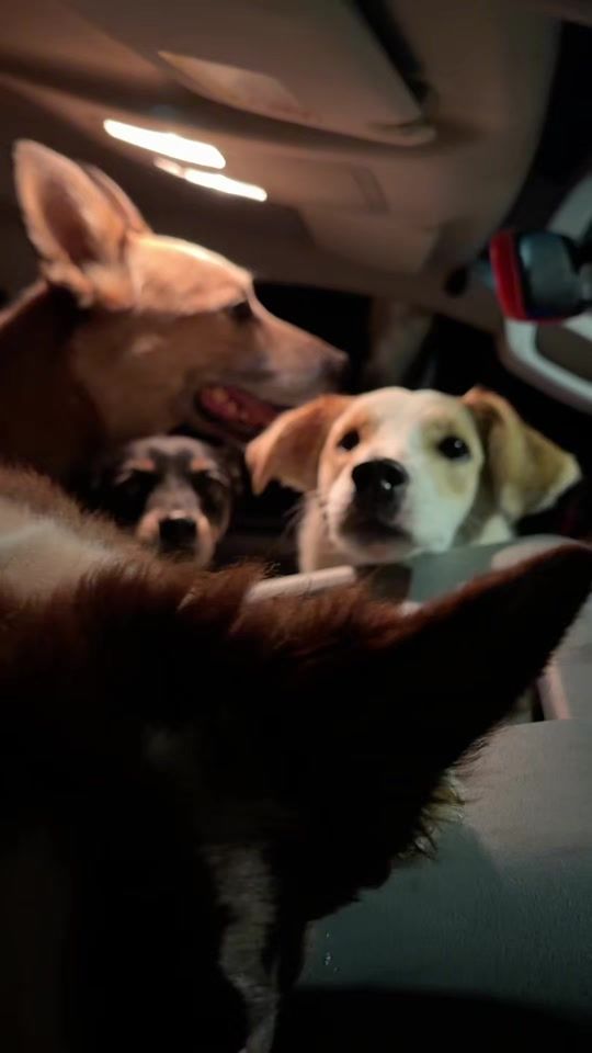 TikTok video thumbnail by loganylunacr