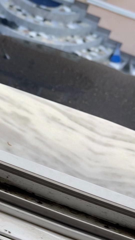 TikTok video thumbnail by jona_pastrim