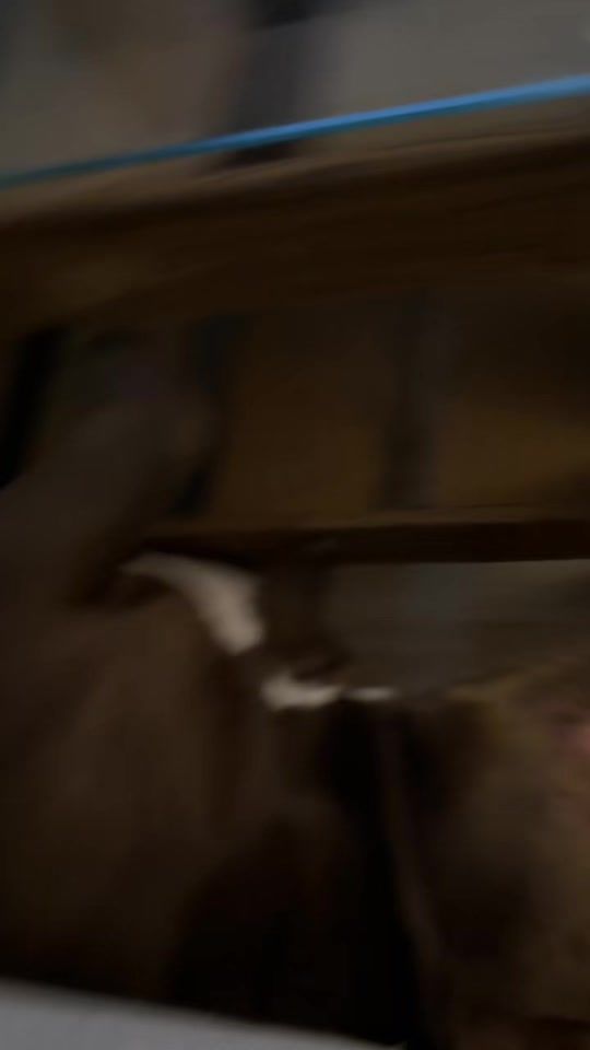 TikTok video thumbnail by the.real.donnn