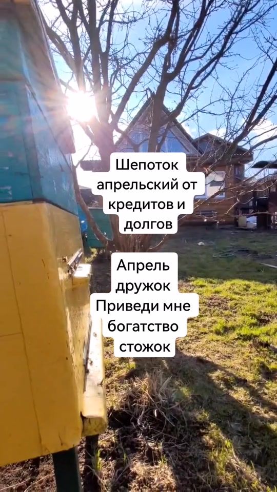 TikTok video thumbnail by olatueva