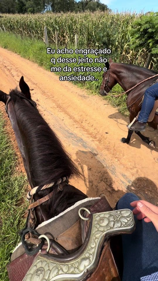 TikTok video thumbnail by joao.piinto