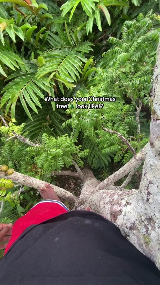 TikTok video thumbnail by chiefs_411