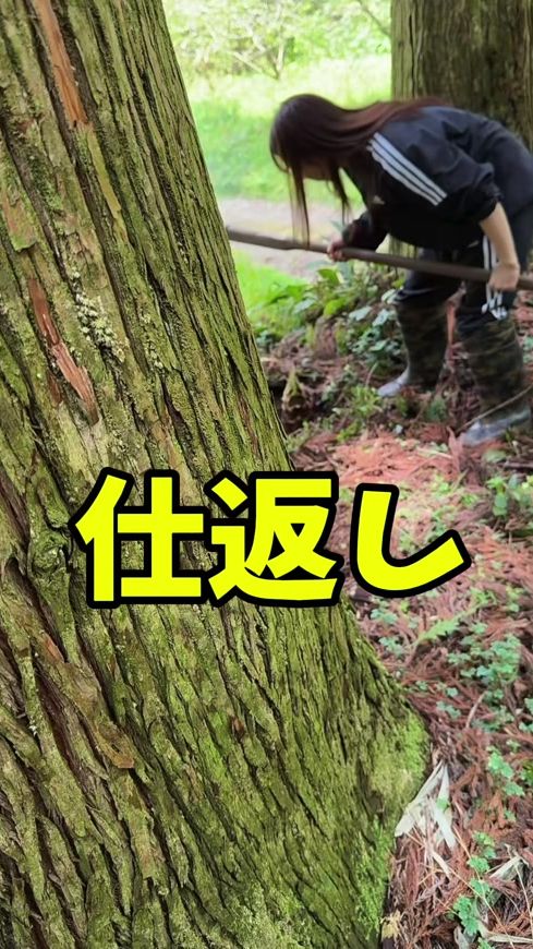TikTok video thumbnail by dokkirisisters