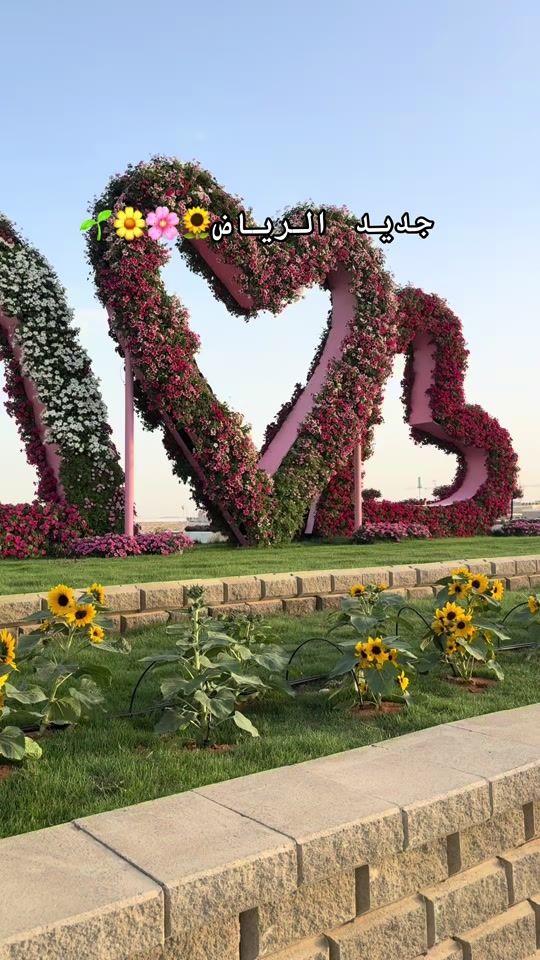 TikTok video thumbnail by blogger_riy