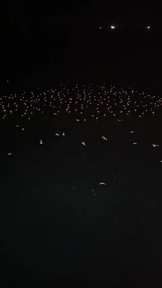 TikTok video thumbnail by captain.mhmd.amro