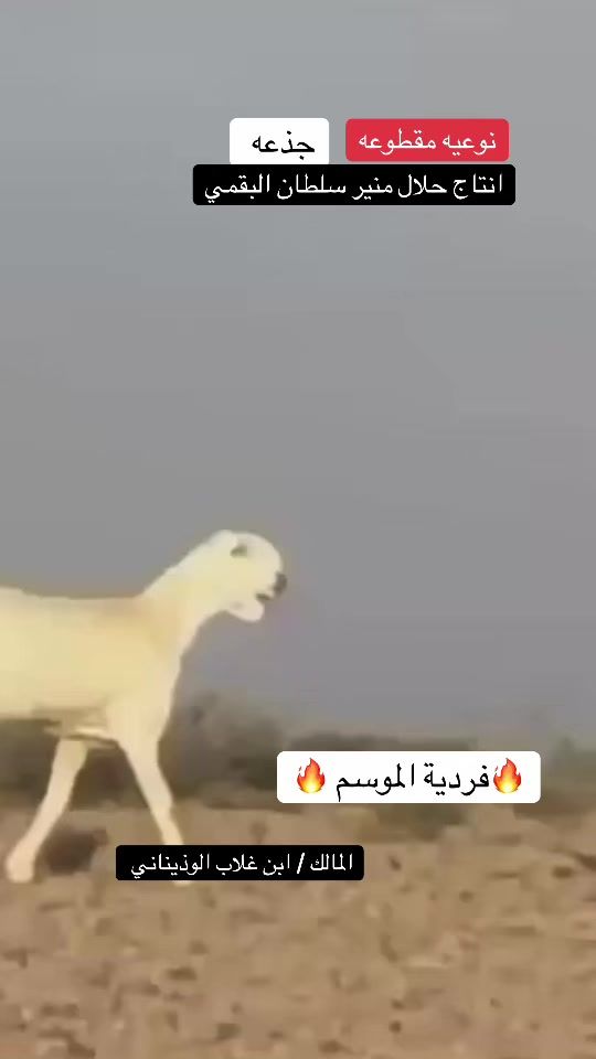 TikTok video thumbnail by s.07s