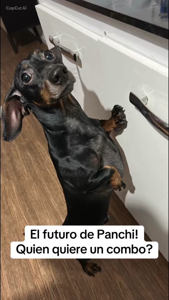 TikTok video thumbnail by jimenagajarte