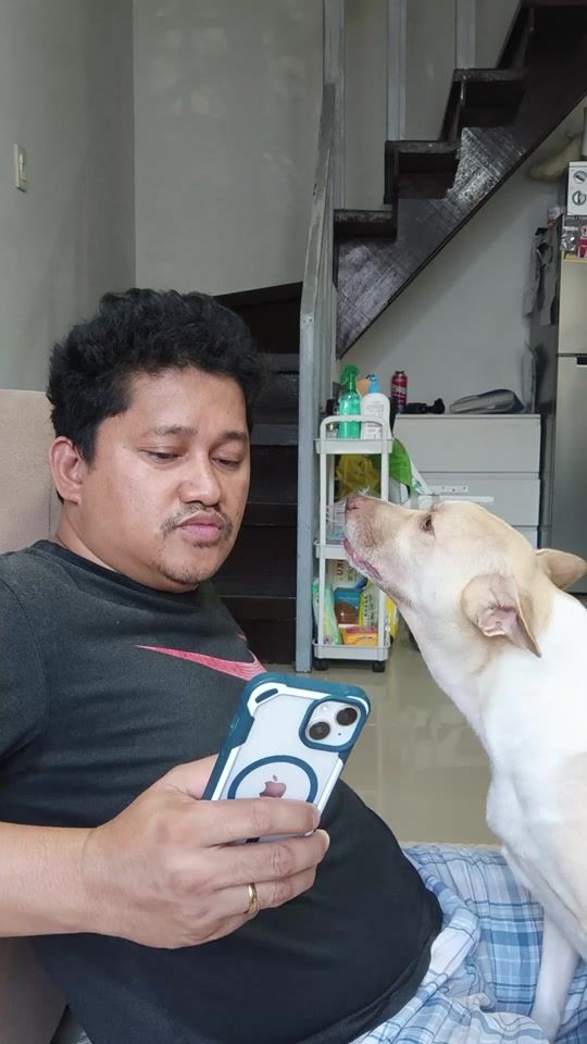 TikTok video thumbnail by teamtheo101