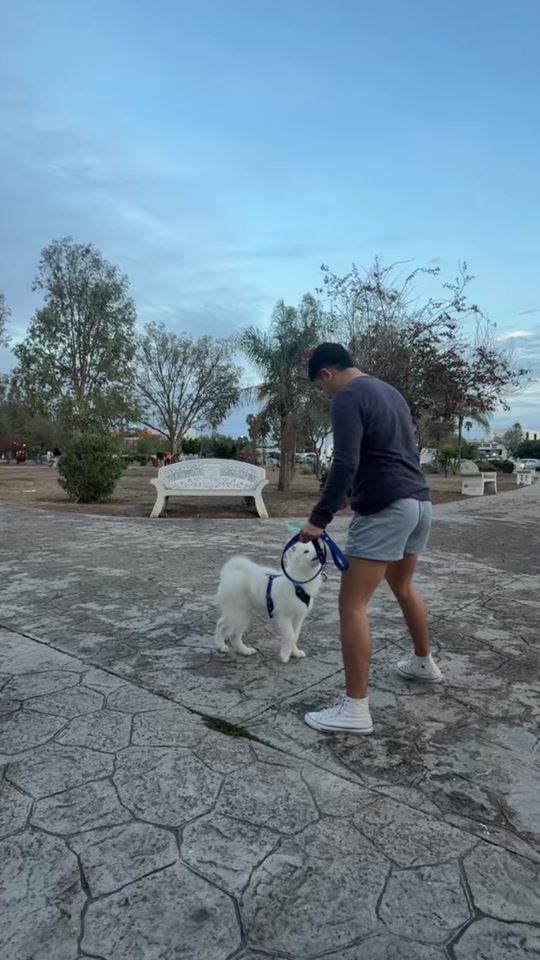 TikTok video thumbnail by sax77g