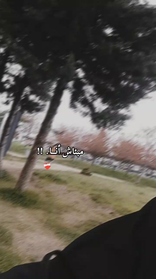 TikTok video thumbnail by user50milisa