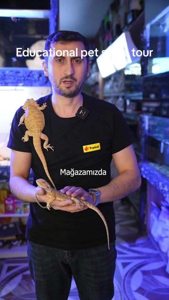 TikTok video thumbnail by artvarium_zoo