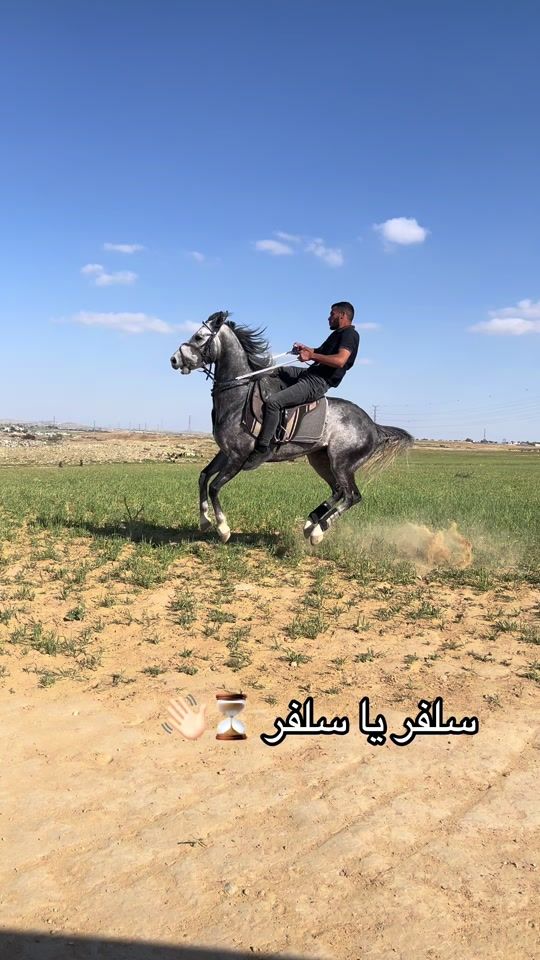 TikTok video thumbnail by 3zez_nfss1