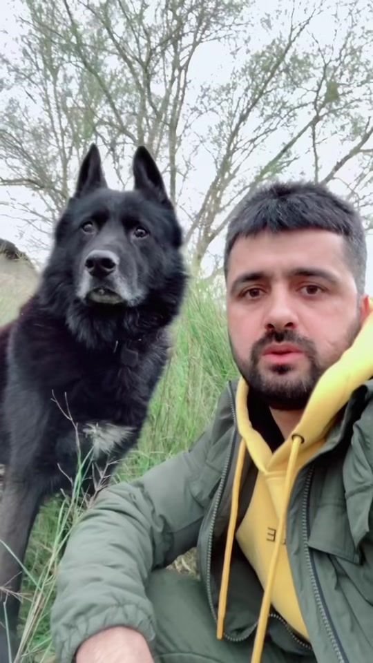 TikTok video thumbnail by serkanterzi0