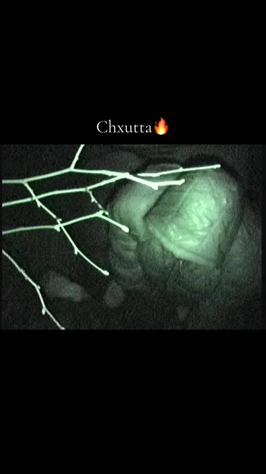 TikTok video thumbnail by gugeshaaaa