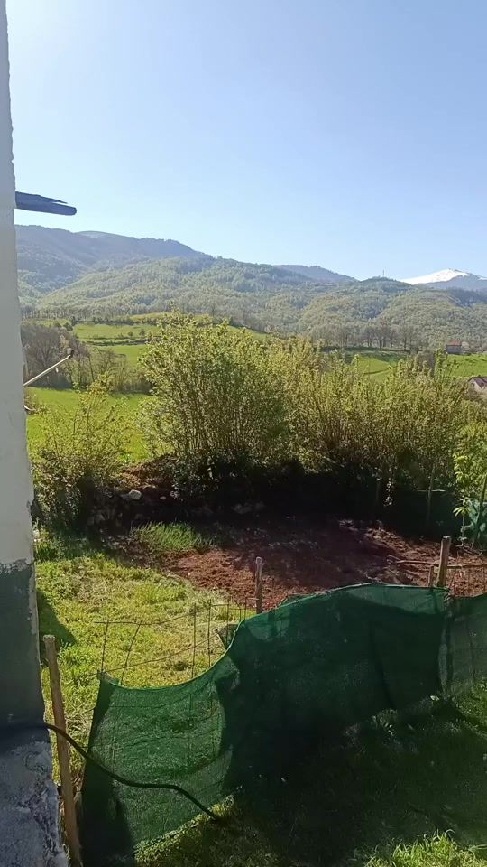 TikTok video thumbnail by user098452687